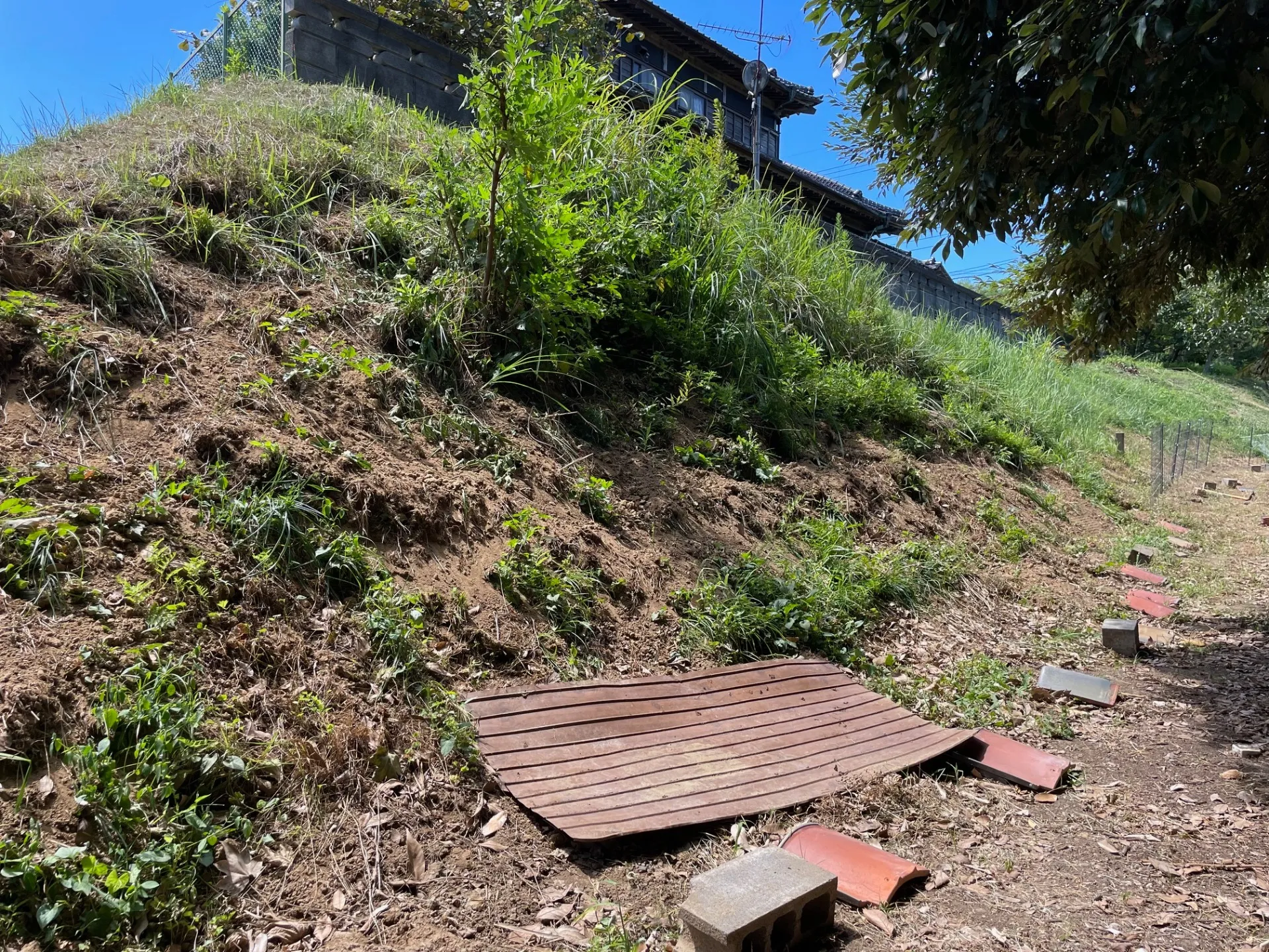 猪害による防護柵の設置になります